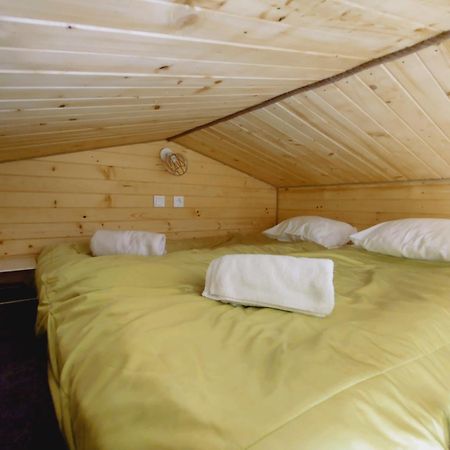 Apartamenty Zabcia グジボボ エクステリア 写真